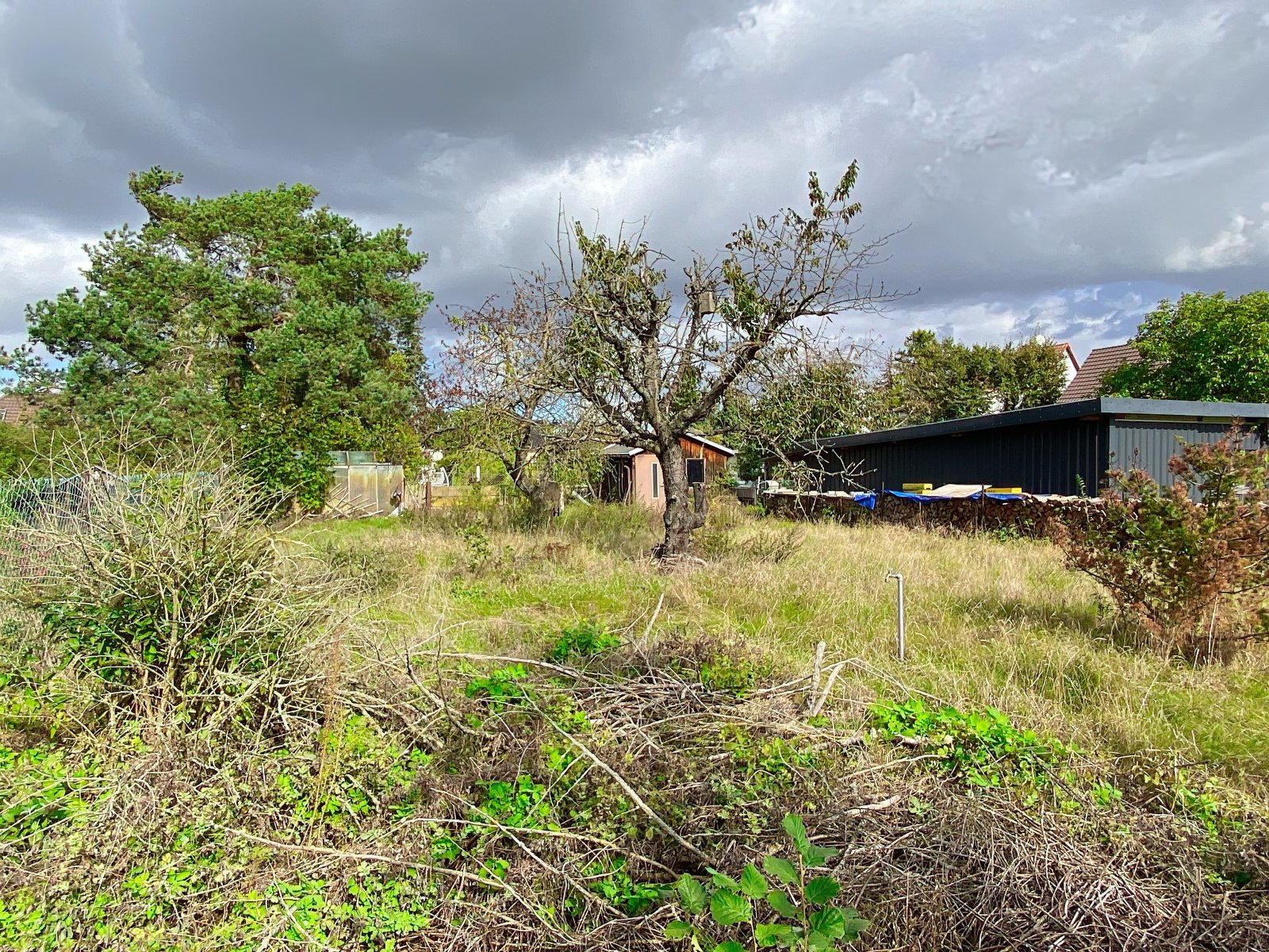 Einfamilienhaus mit Doppelgarage und großem Grundstück in Klitzschen