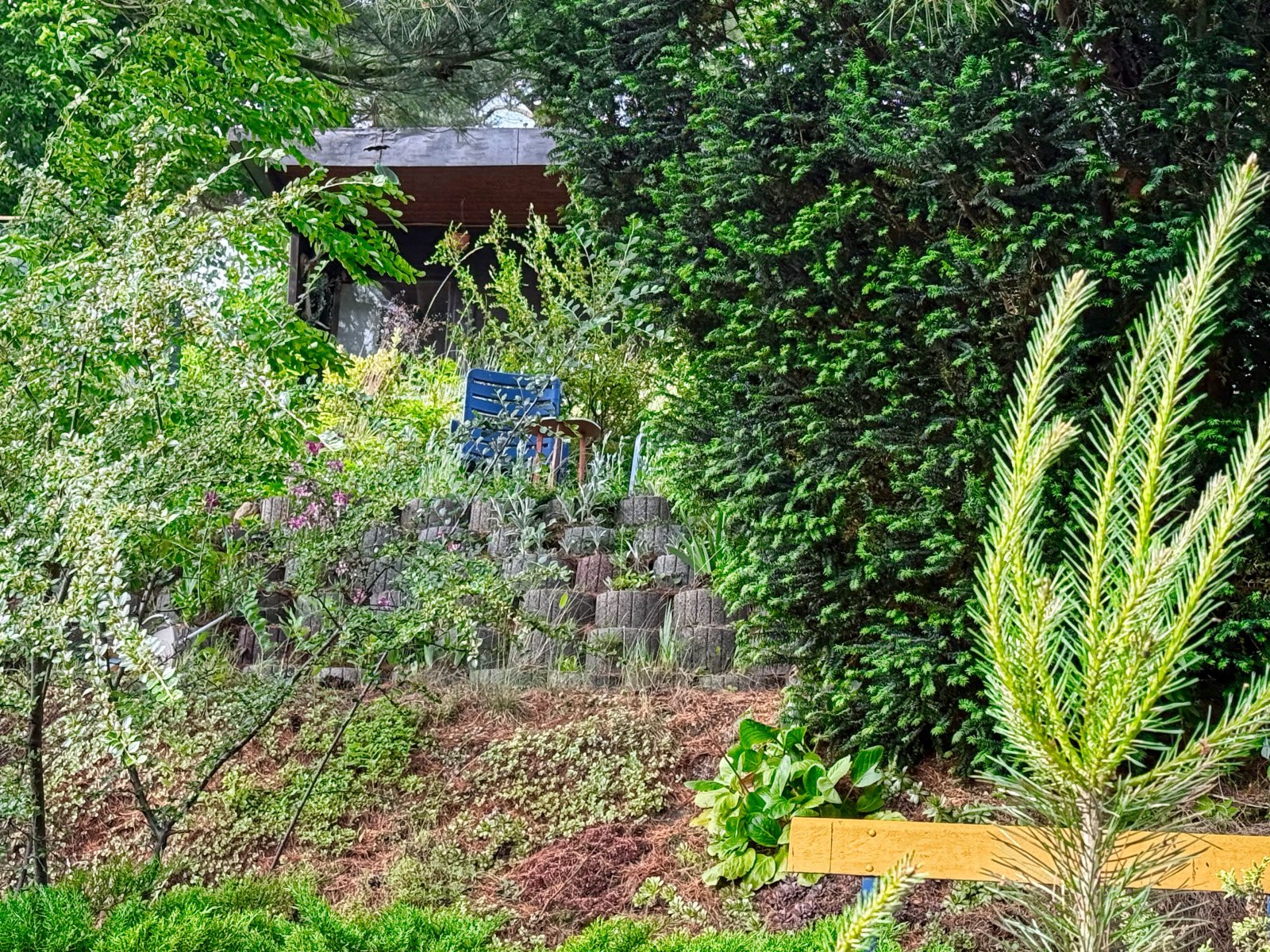 Gemütlicher Wochenendbungalow in naturnaher Lage in Bad Schmiedeberg OT Großwig