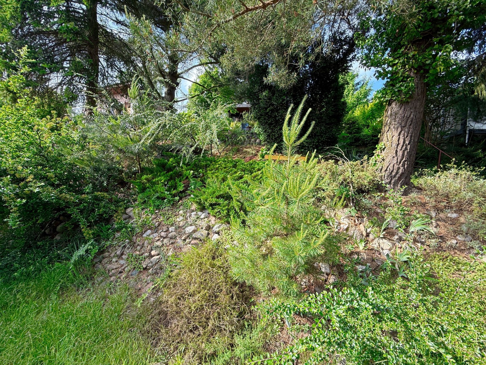 Gemütlicher Wochenendbungalow in naturnaher Lage in Bad Schmiedeberg OT Großwig