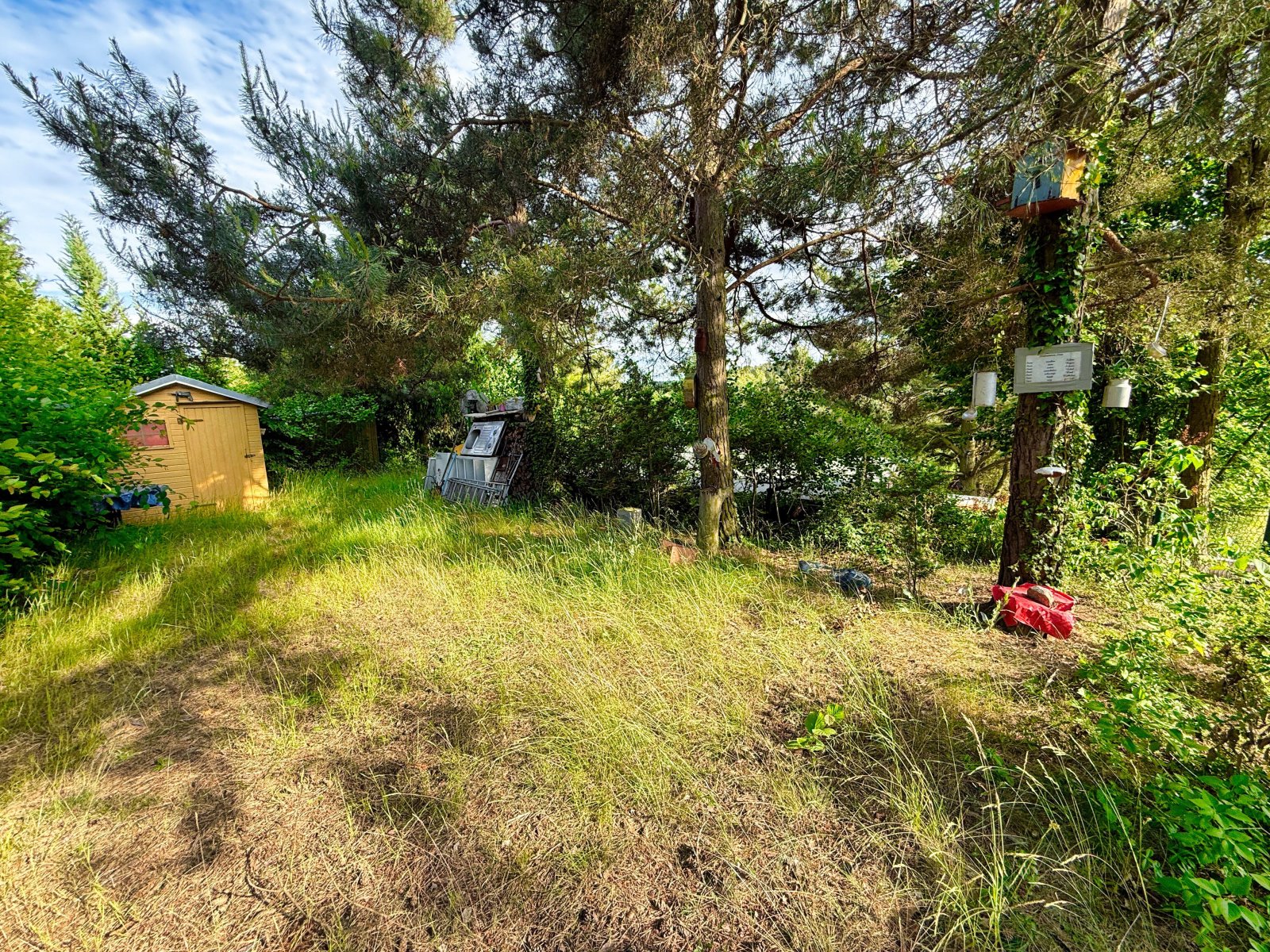 Gemütlicher Wochenendbungalow in naturnaher Lage in Bad Schmiedeberg OT Großwig
