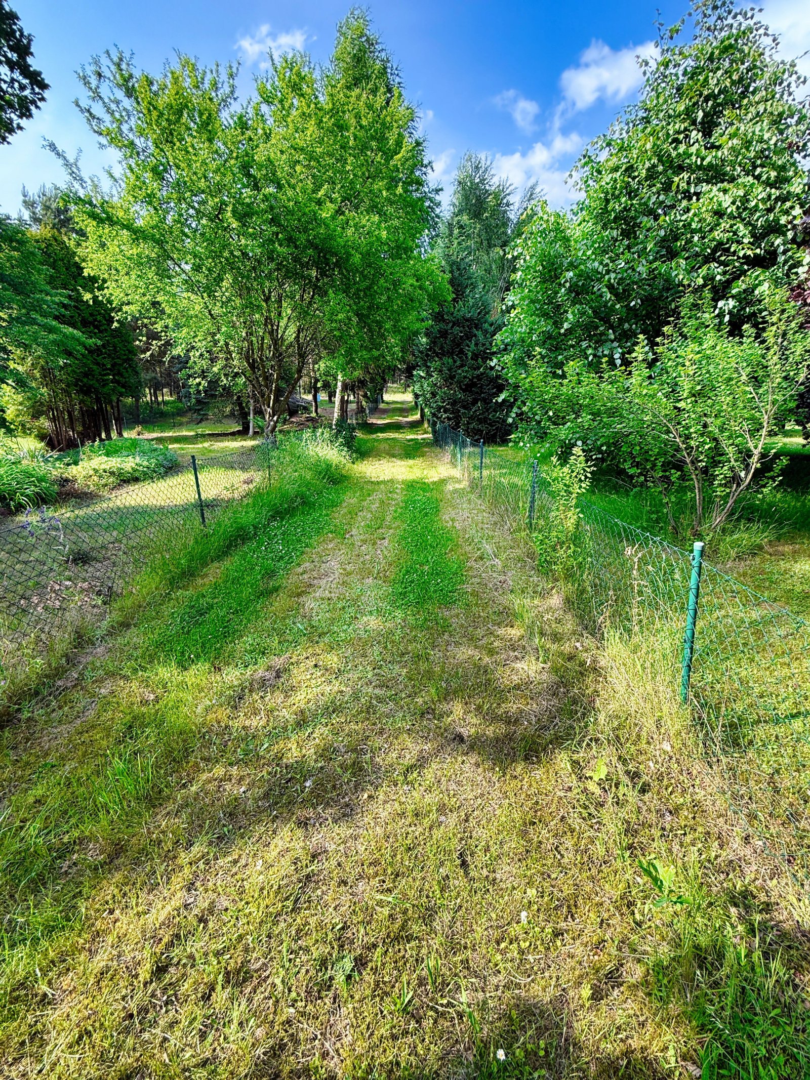 Gemütlicher Wochenendbungalow in naturnaher Lage in Bad Schmiedeberg OT Großwig