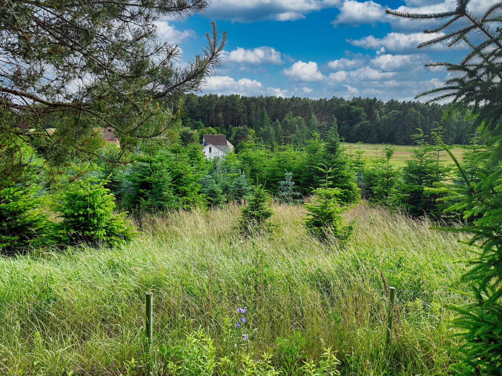 Gemütlicher Wochenendbungalow in naturnaher Lage in Bad Schmiedeberg OT Großwig