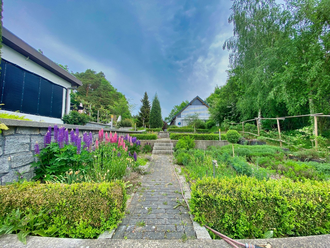 Wunderschöner gepflegter Terrassengarten