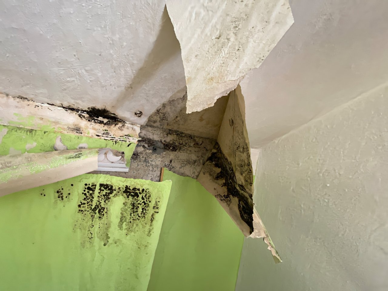 Wohnzimmer OG Nässeschaden durch undichtes Dach Wohnzimmer OG Nässeschaden durch undichtes Dach