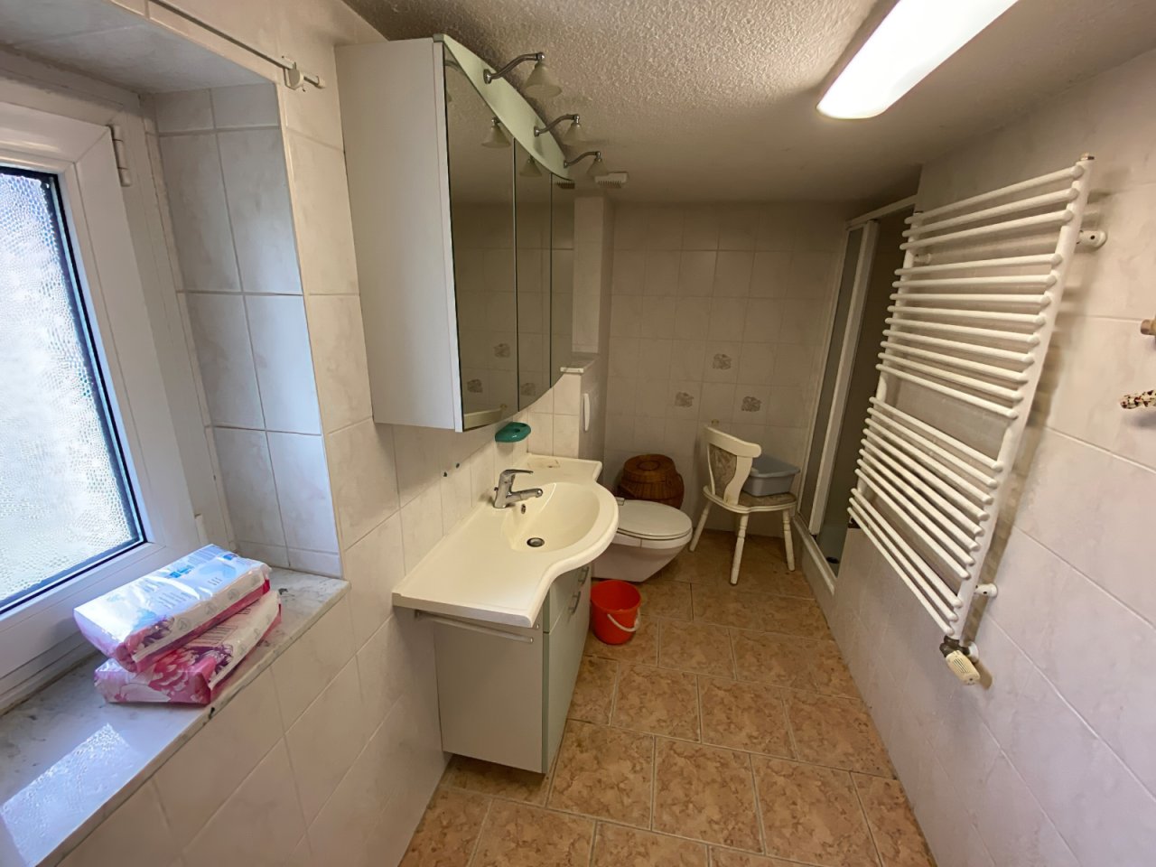 Tageslichtbad mit Dusche und WC EG Tageslichtbad mit Dusche und WC EG