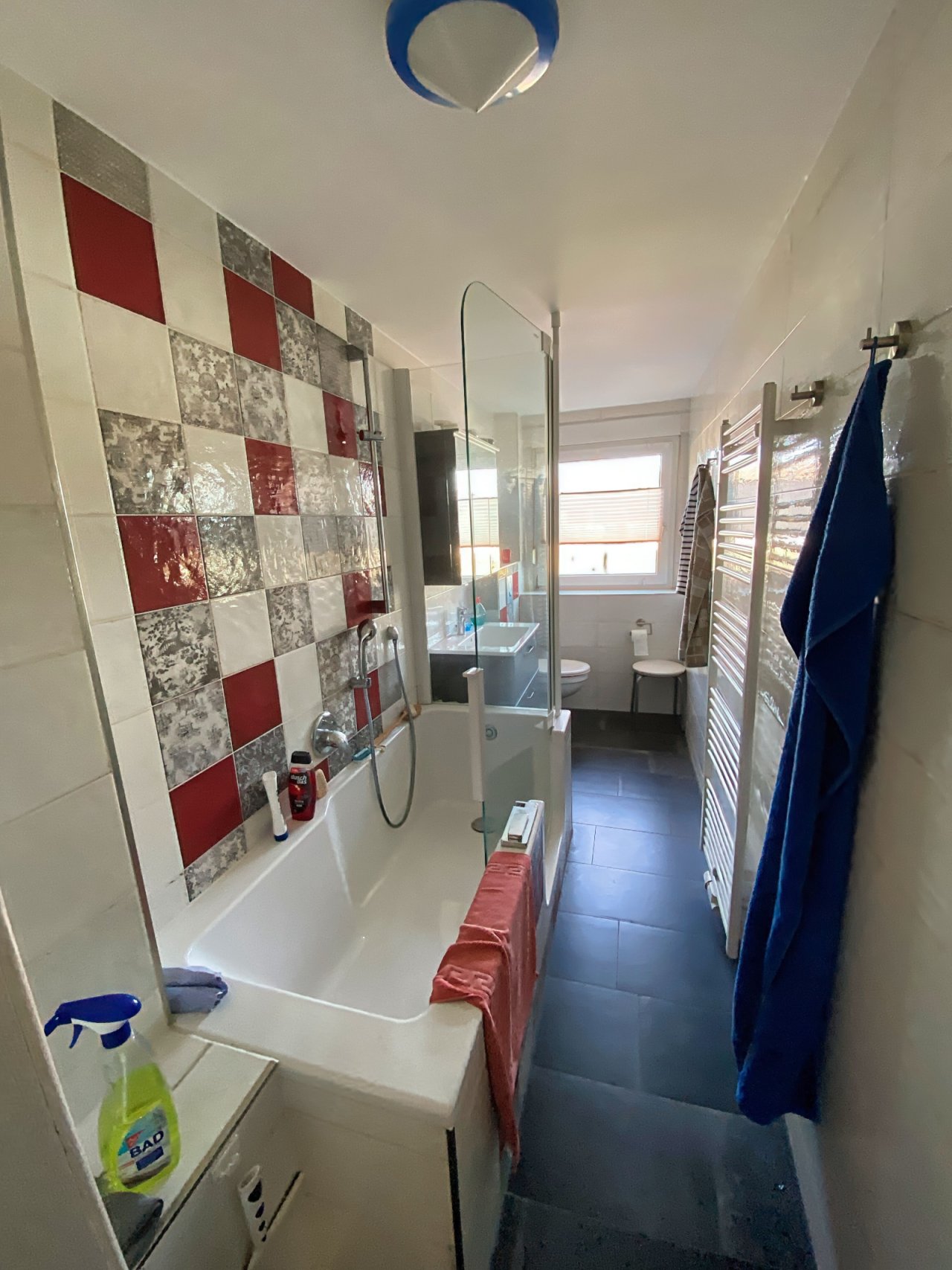 Tageslichtbad mit Wanne + WC EG Tageslichtbad mit Wanne + WC EG