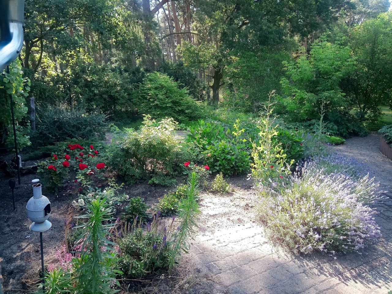 Garten Garten