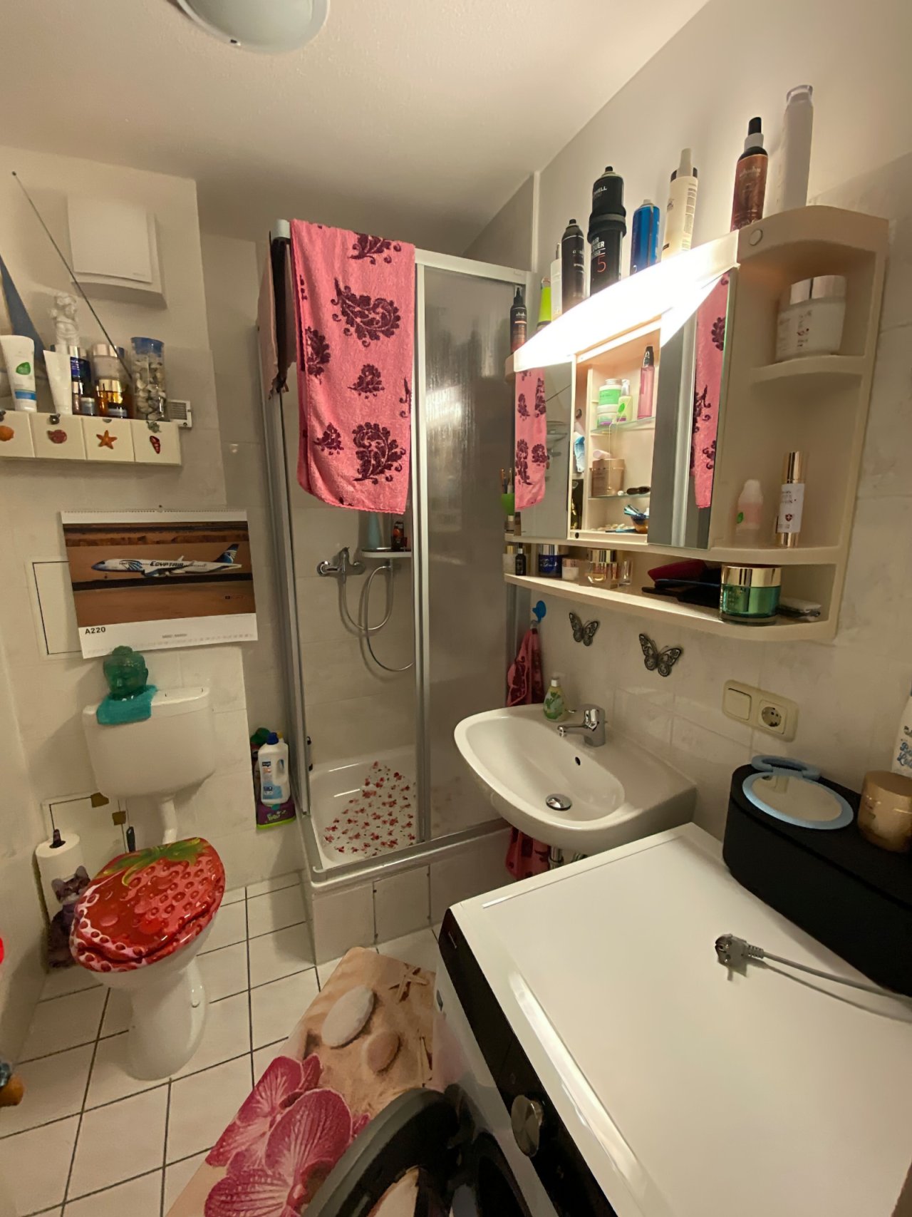 Bad mit Dusche und WC Bad mit Dusche und WC