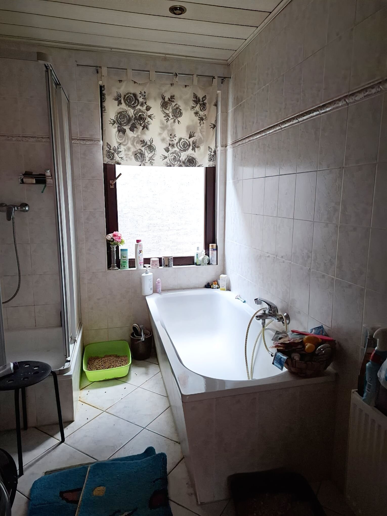 Tageslichtbad mit Wanne, Dusche, WC Tageslichtbad mit Wanne, Dusche, WC