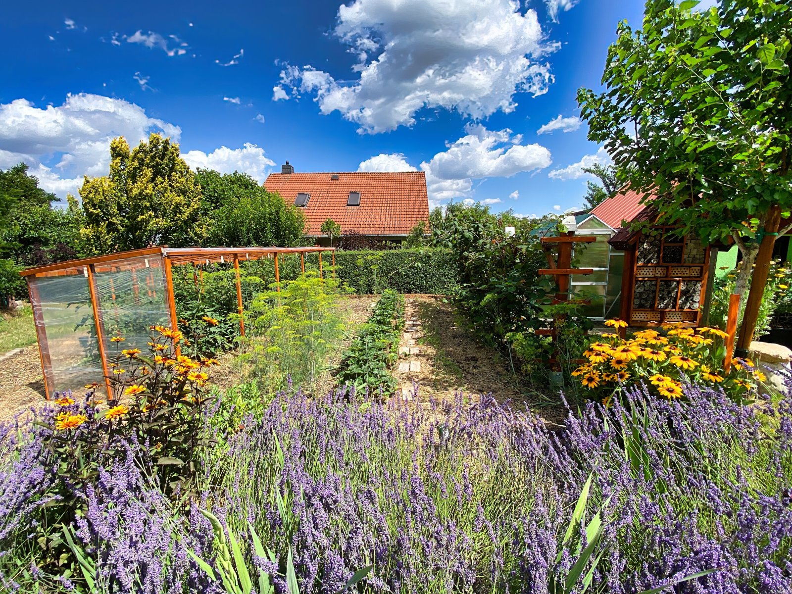 Wunderschöner Garten Wunderschöner Garten