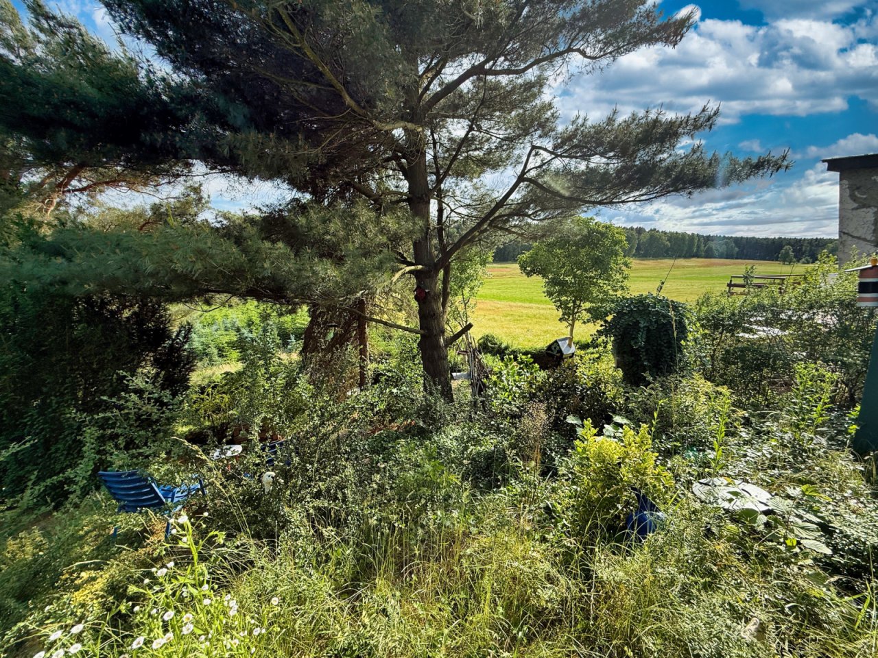 Ausblick Bungalow