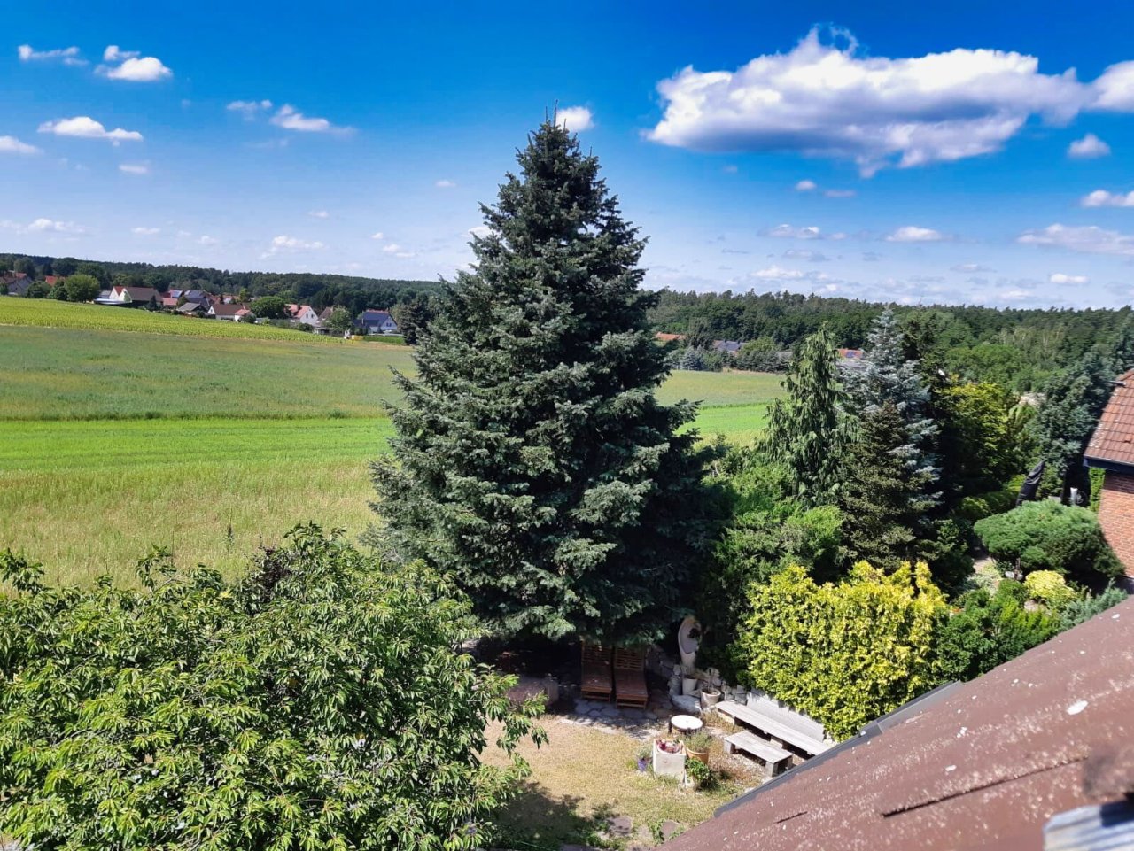 Ausblick Dachfenster Ausblick Dachfenster