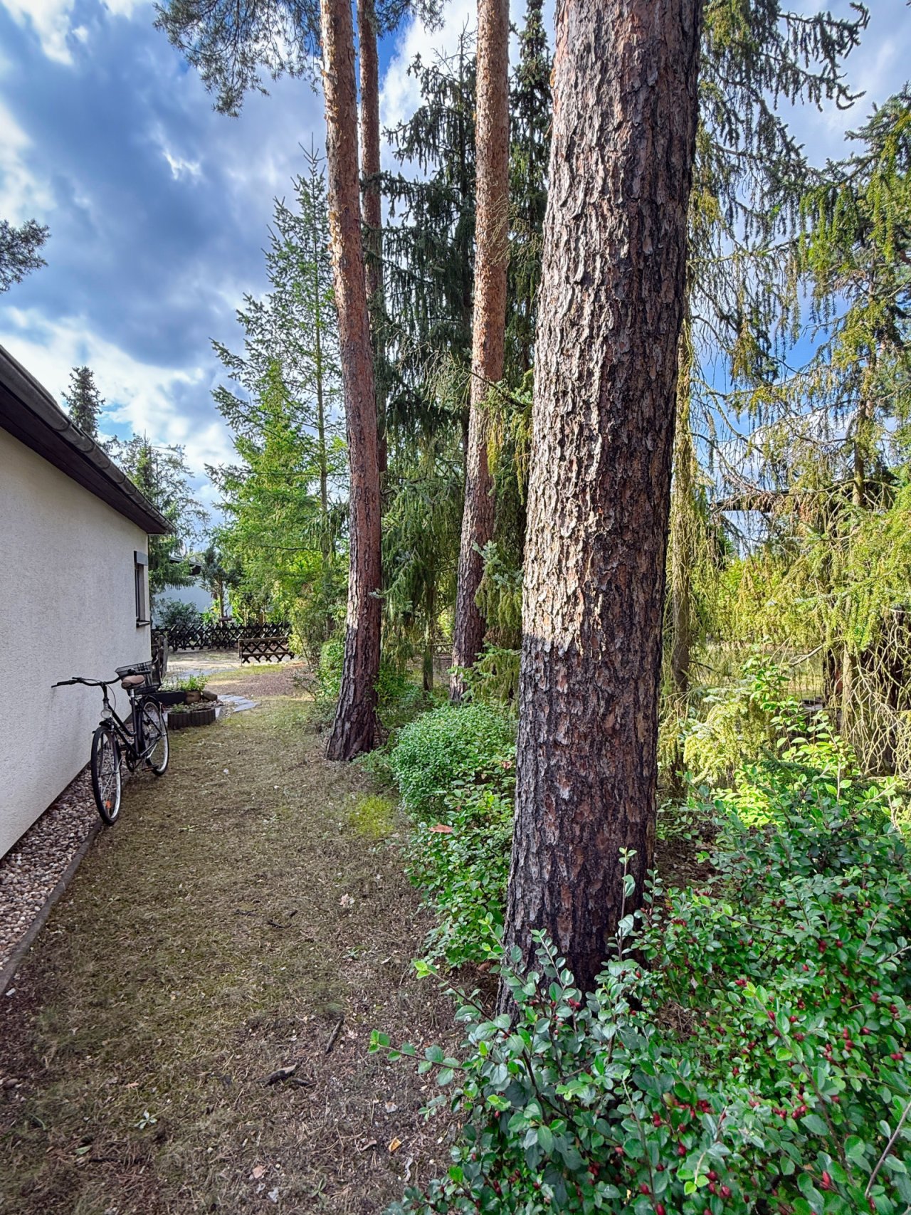 Grundstück 