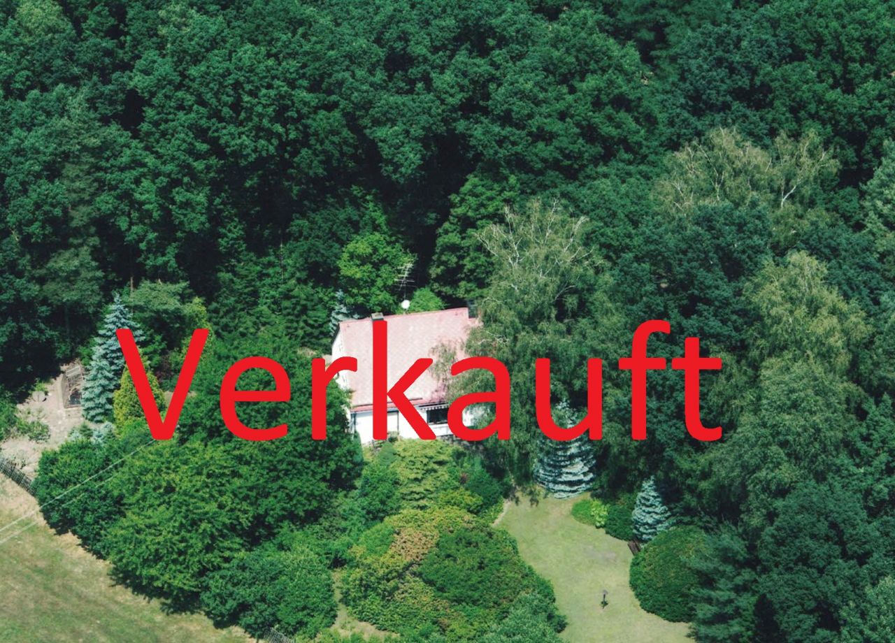 Belgern-Schildau: Einfamilienhaus mit Doppelgarage, Carport und großem Grundstück  Belgern-Schildau: Einfamilienhaus mit Doppelgarage, Carport und großem Grundstück